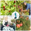 Акумулаторна лозарска ножица със стоманени ножове и батерия за резитба