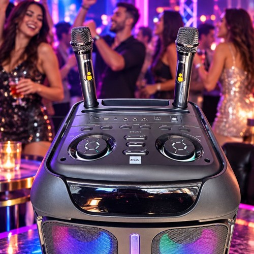 Мощна караоке тонколона Brodu iKaraoke BTS-2171 (Dual 12", 200W RMS) с 2 микрофона и Bluetooth